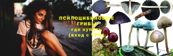 хмурый Алексин