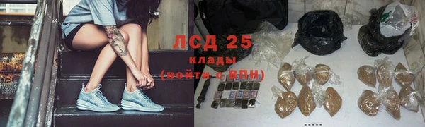 хмурый Алексин