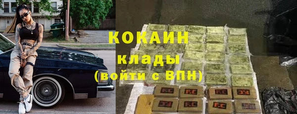 хмурый Алексин