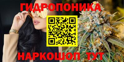 сатива Обь