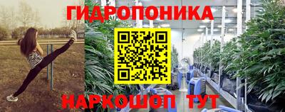 сатива Обь
